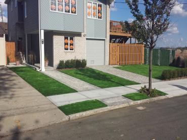 Artificial Grass Photos: Fake Pet Turf West Carson California Back and Front Yard
